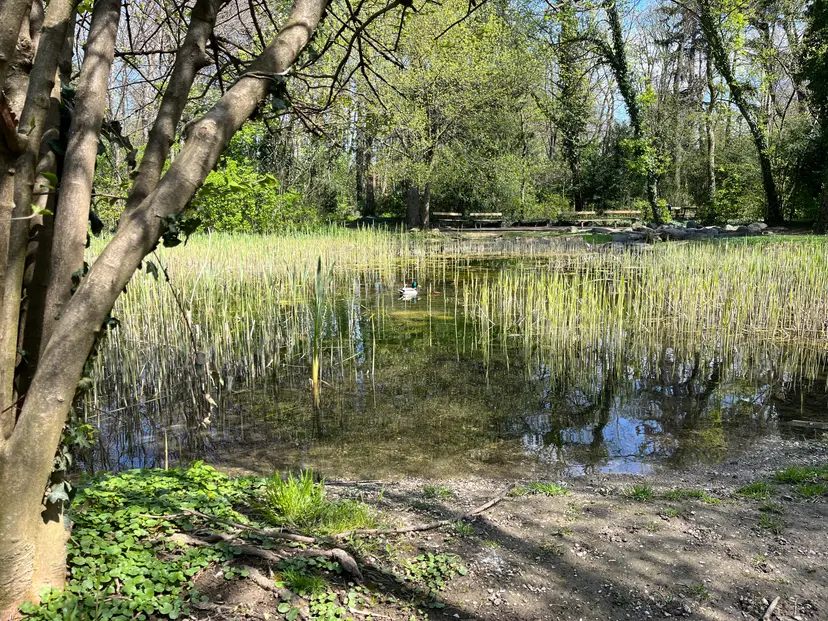 Spielplatz 4