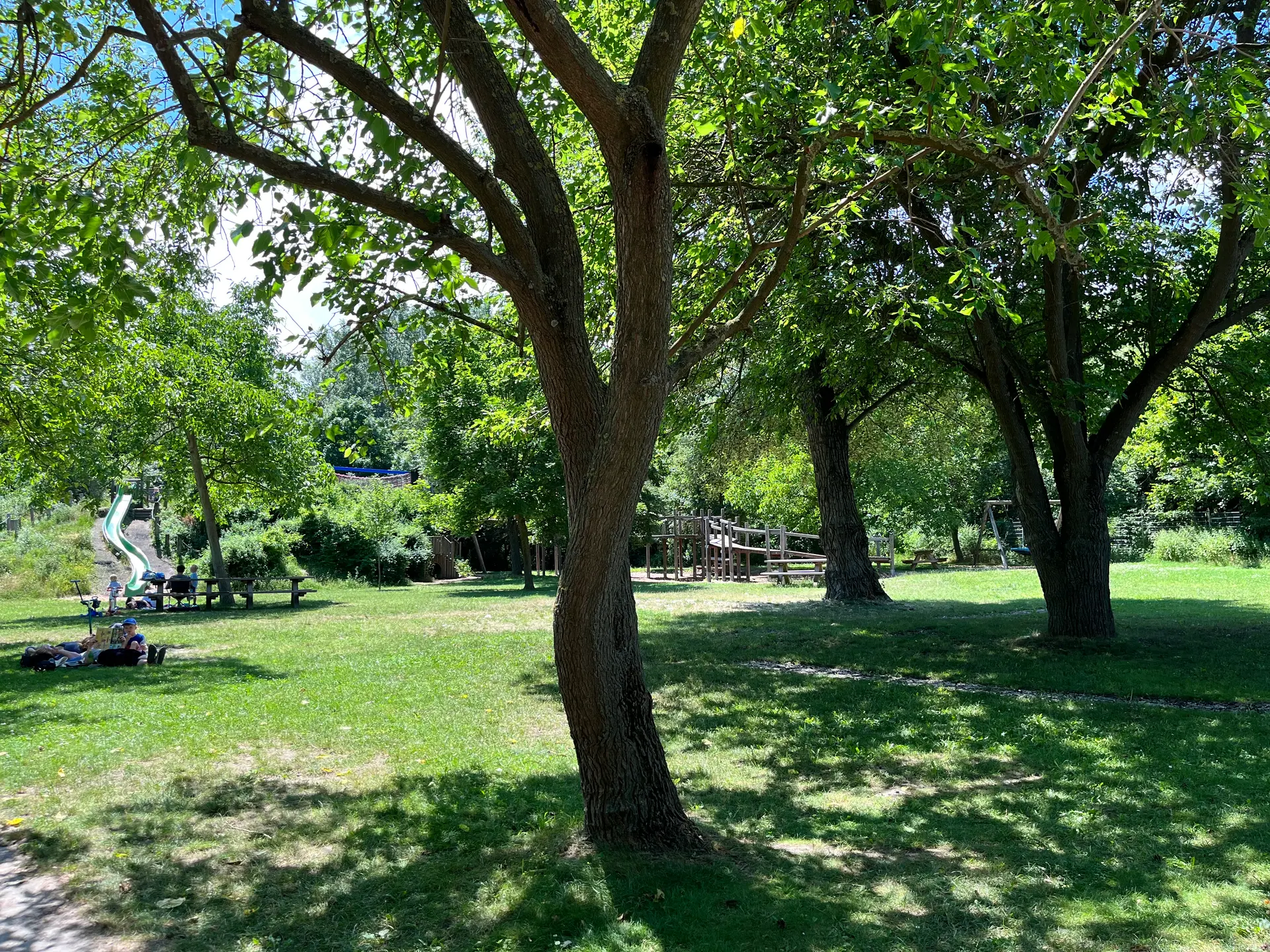 Waldspielplatz Nationalparkhaus