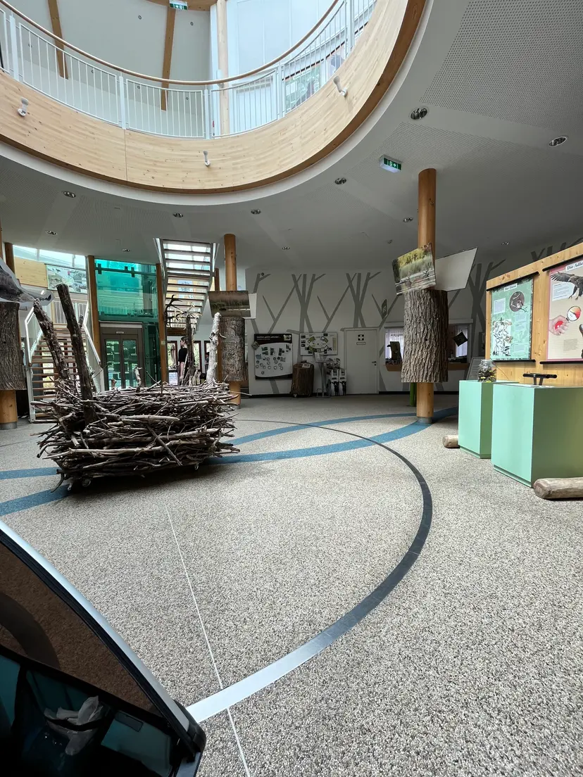 Waldspielplatz Nationalparkhaus 3
