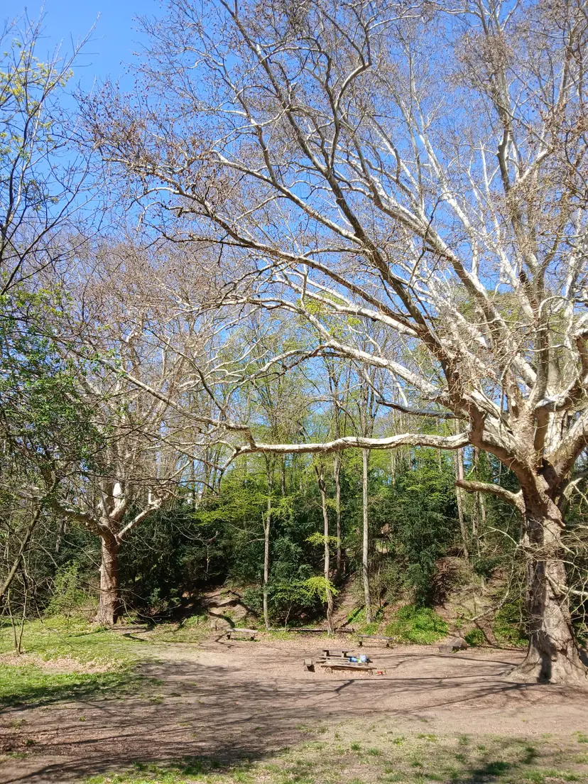 Waldspielplatz Dehnepark 5