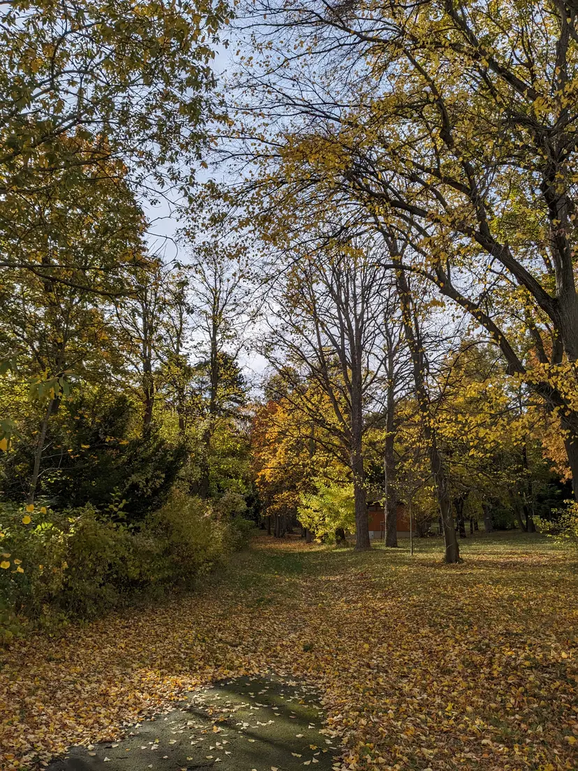 Waldspielplatz Hörndlwald 3