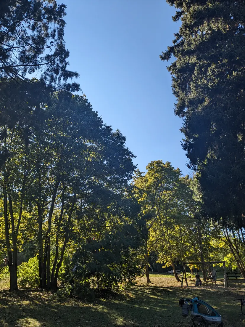Waldspielplatz Hörndlwald 4