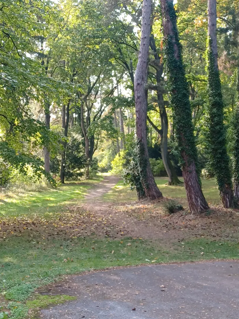 Waldspielplatz Hörndlwald 5
