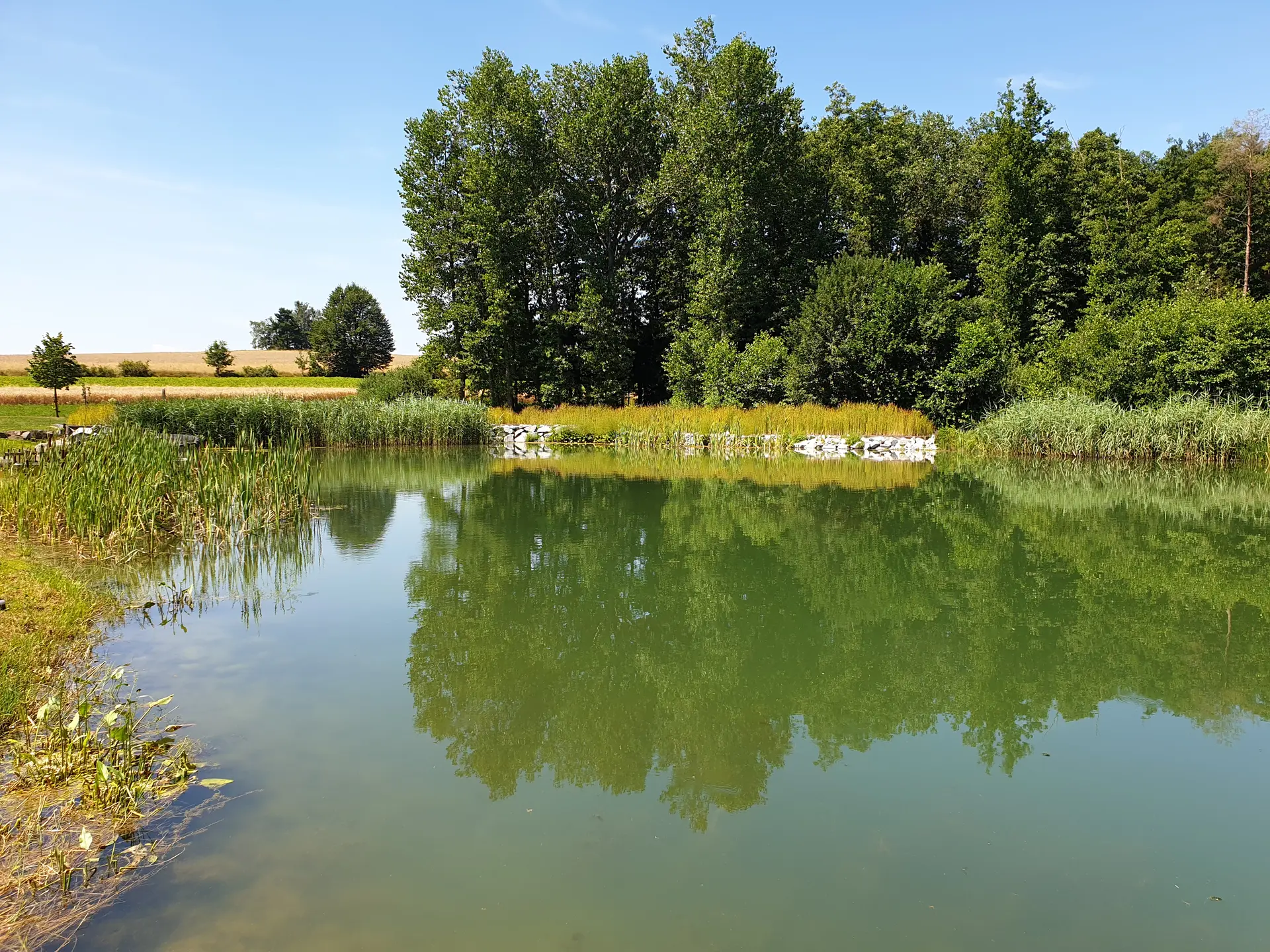 Spielplatz Hirschbach