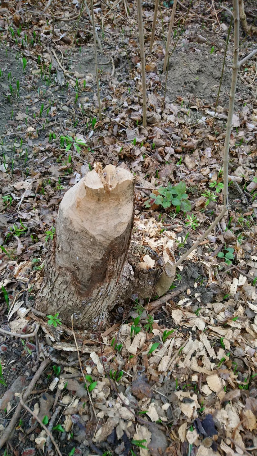 Spielplatz 3