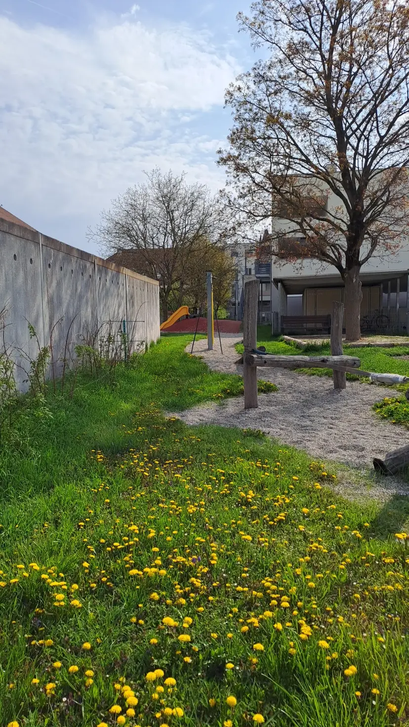 Öffentlicher Spielplatz 5