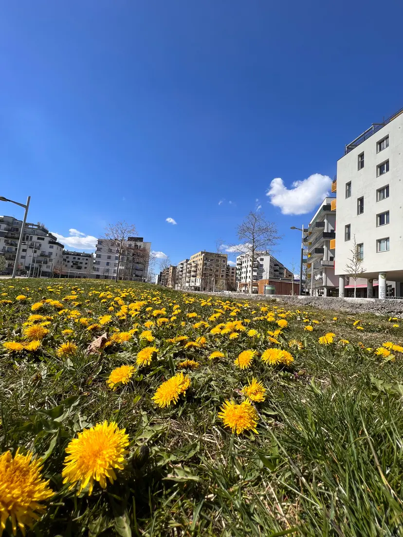 Spielplatz im Hannah-Arendt-Park 4