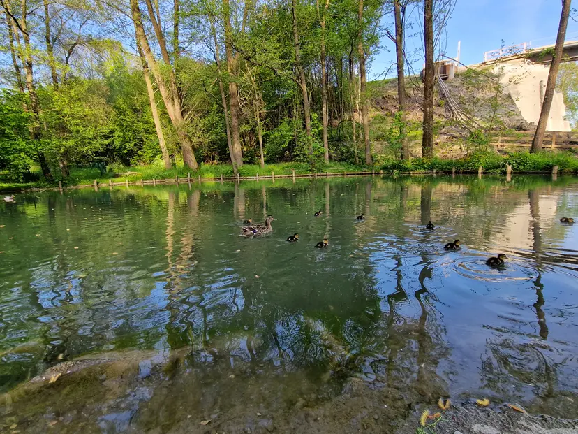 Stadtpark 3