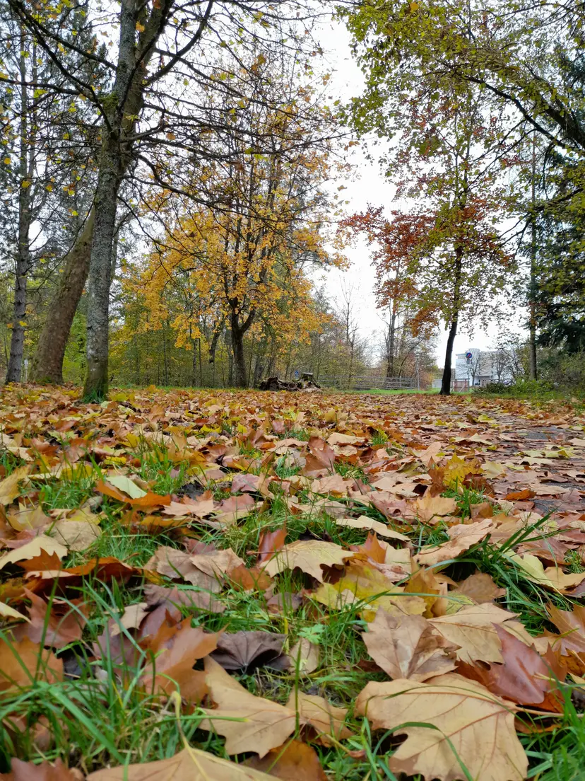 Stadtpark 6