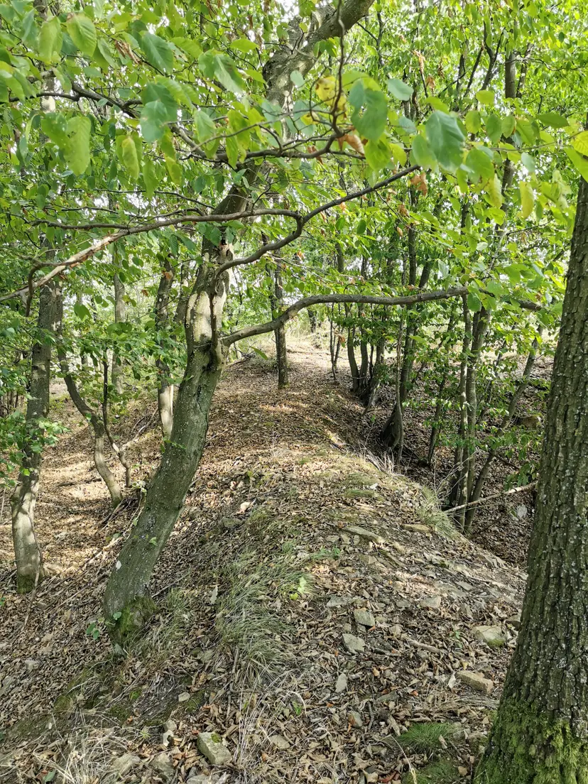 Spielplatz 6