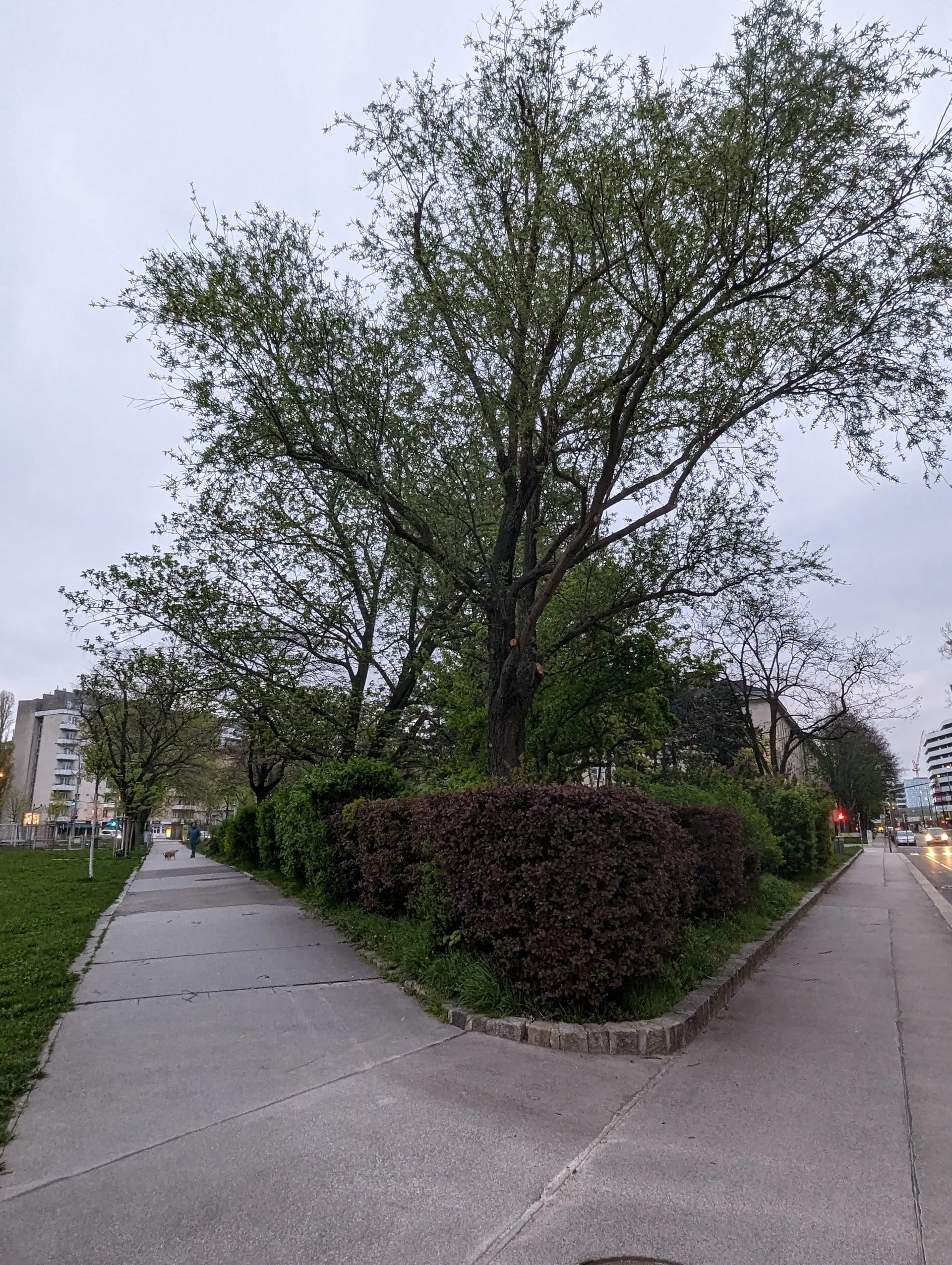 Spielplatz Elderschplatz