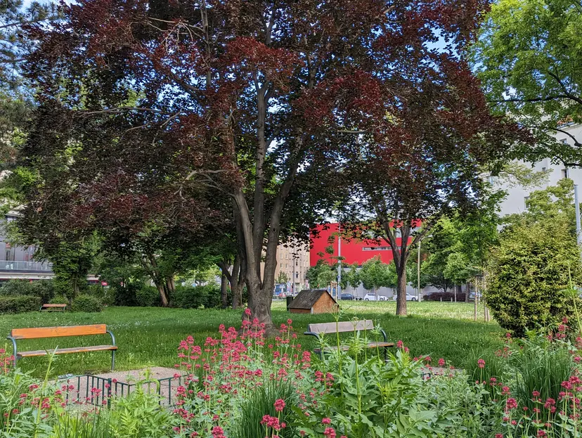 Spielplatz Elderschplatz 3