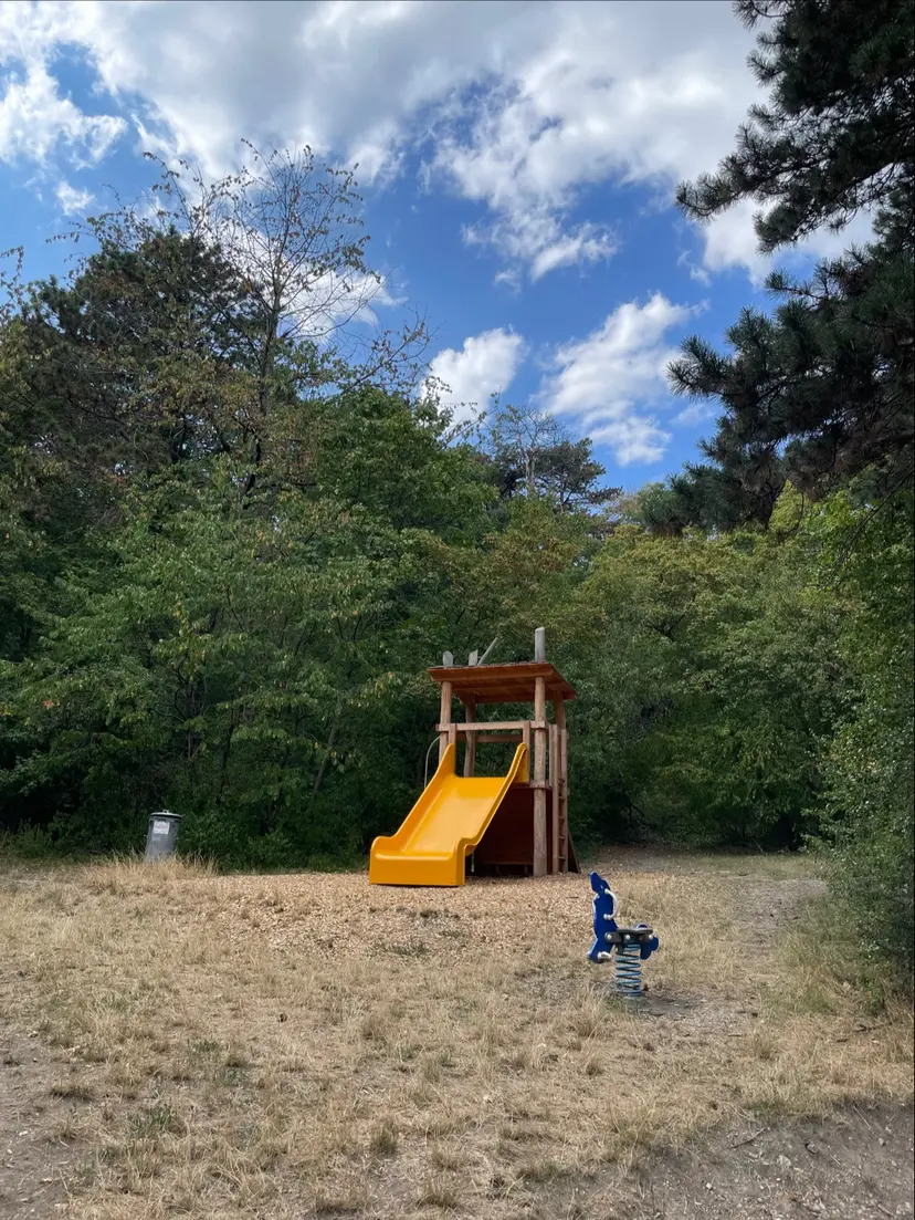 Waldspielplatz-Schießstättenweg 4