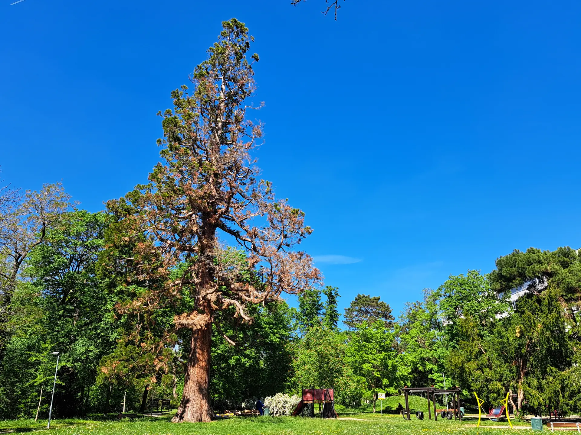 Spielplatz im Ökopark