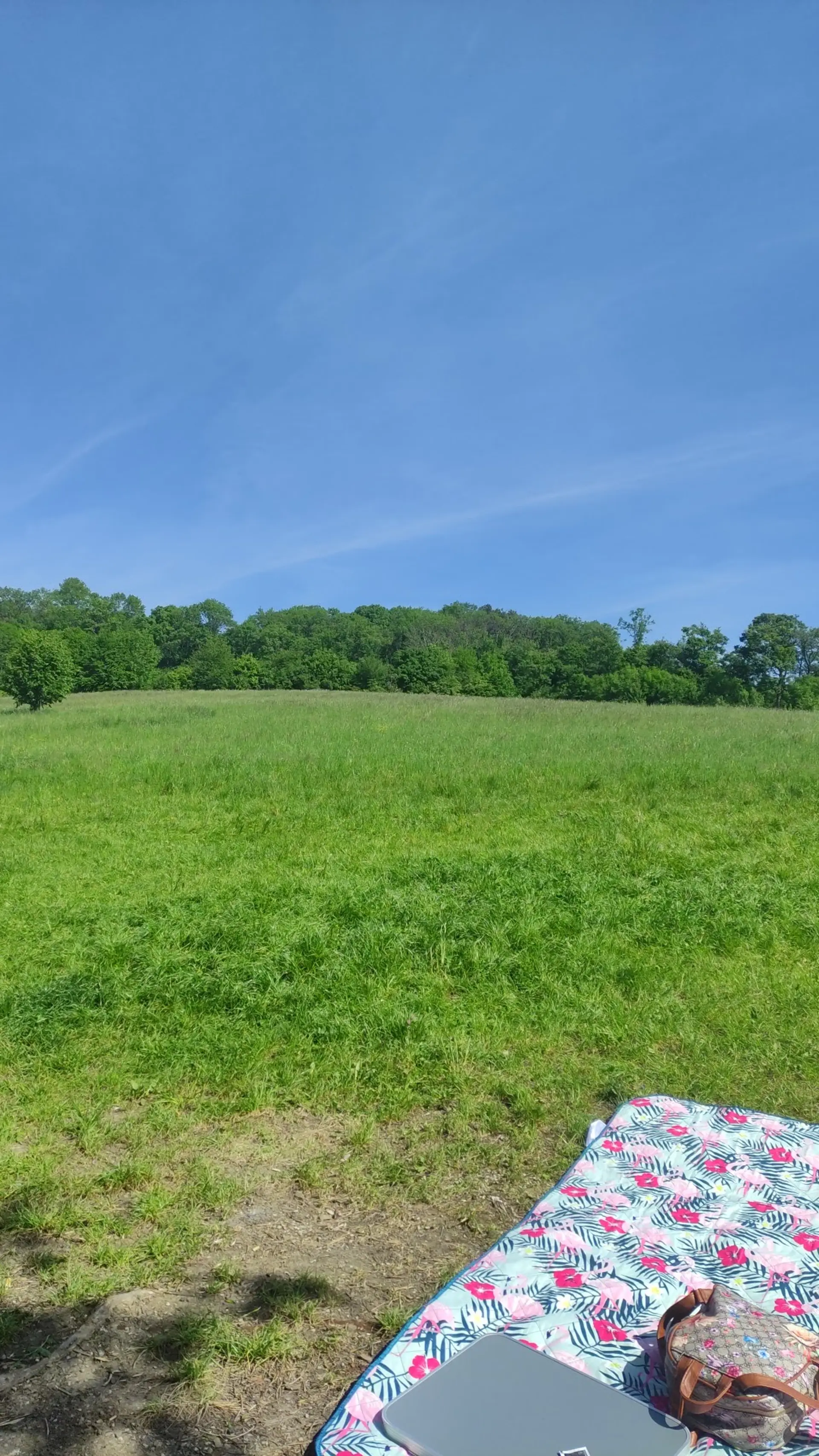 Waldspielplatz Krapfenwaldgasse