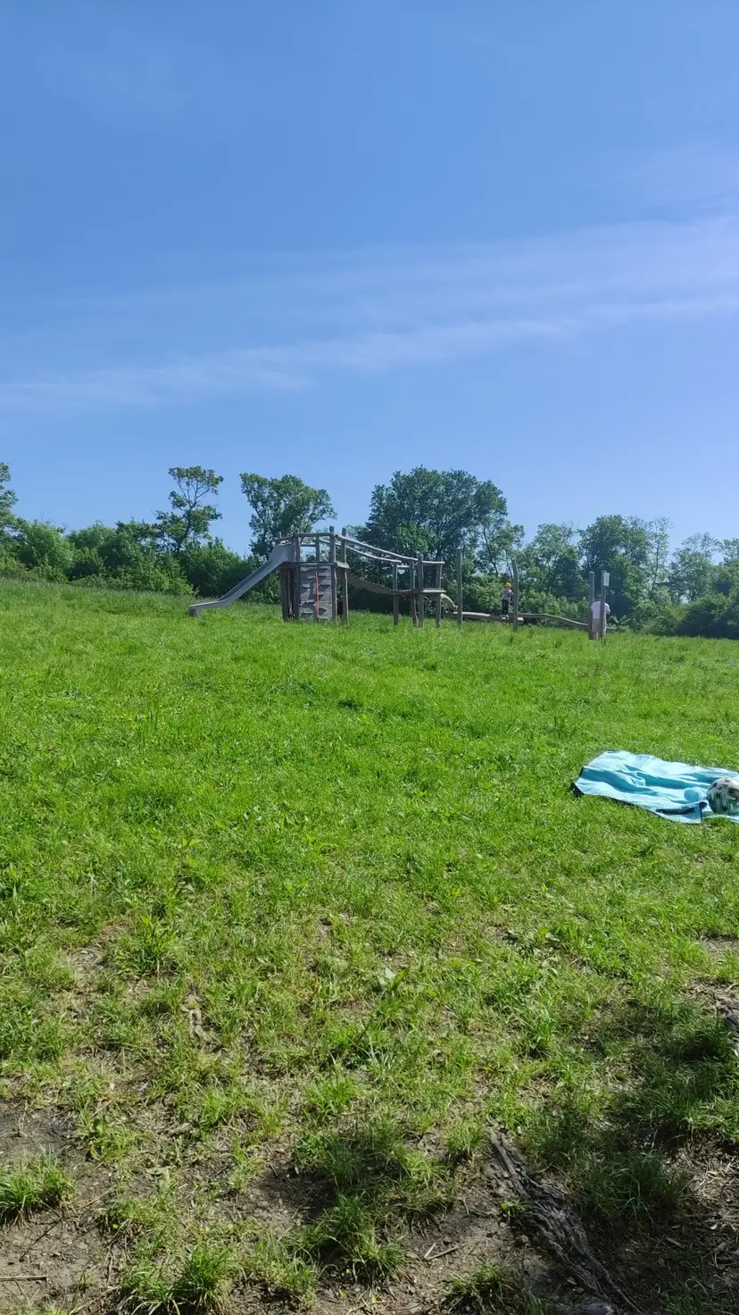 Waldspielplatz Krapfenwaldgasse 3