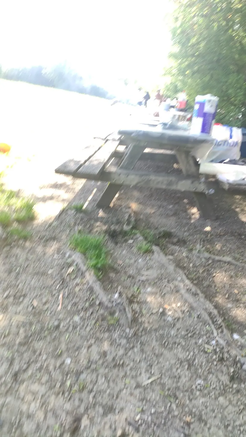 Waldspielplatz Krapfenwaldgasse 4