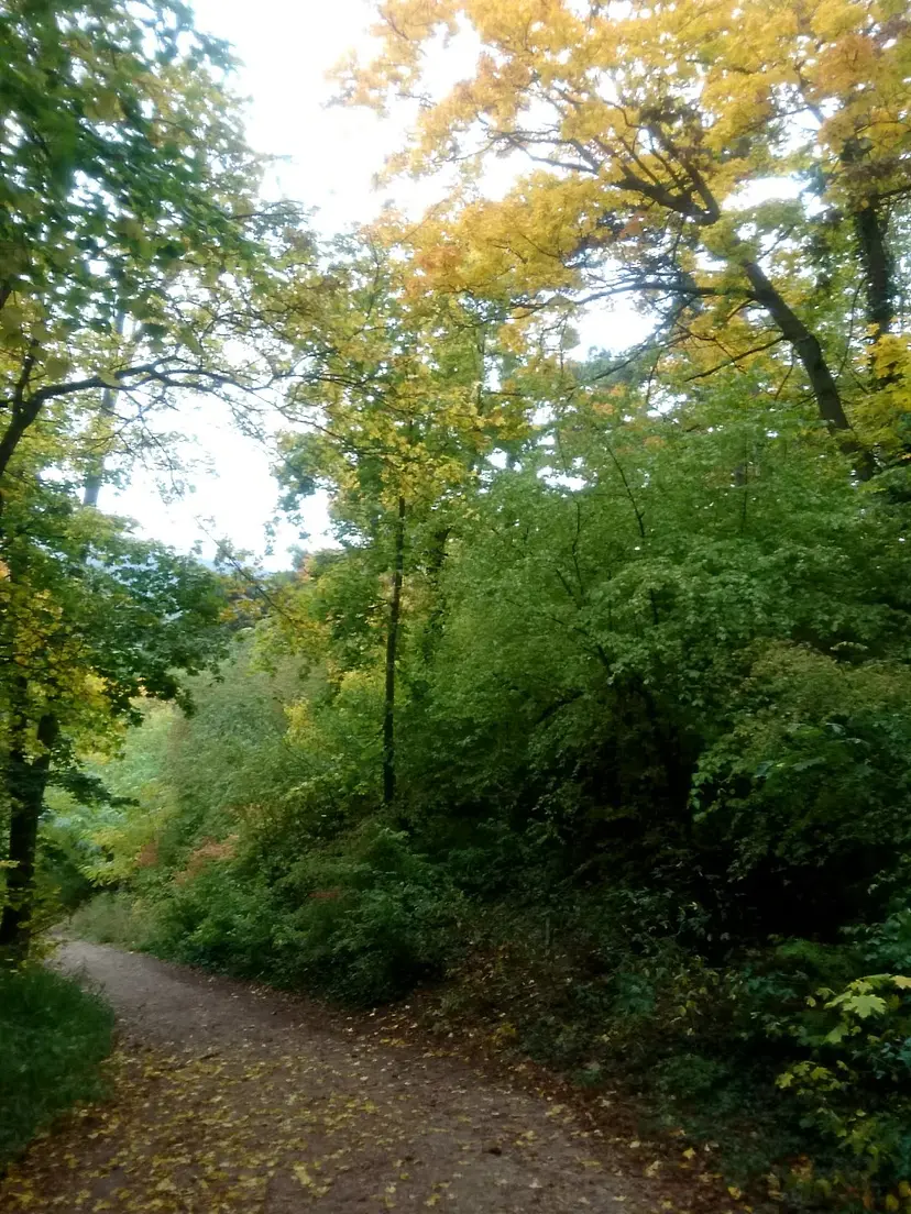 Spielplatz Vorderbrühl 5