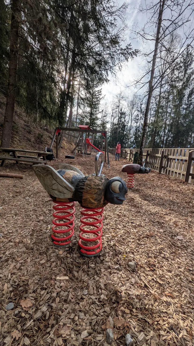 Waldspielplatz Hart im Zillertal 4