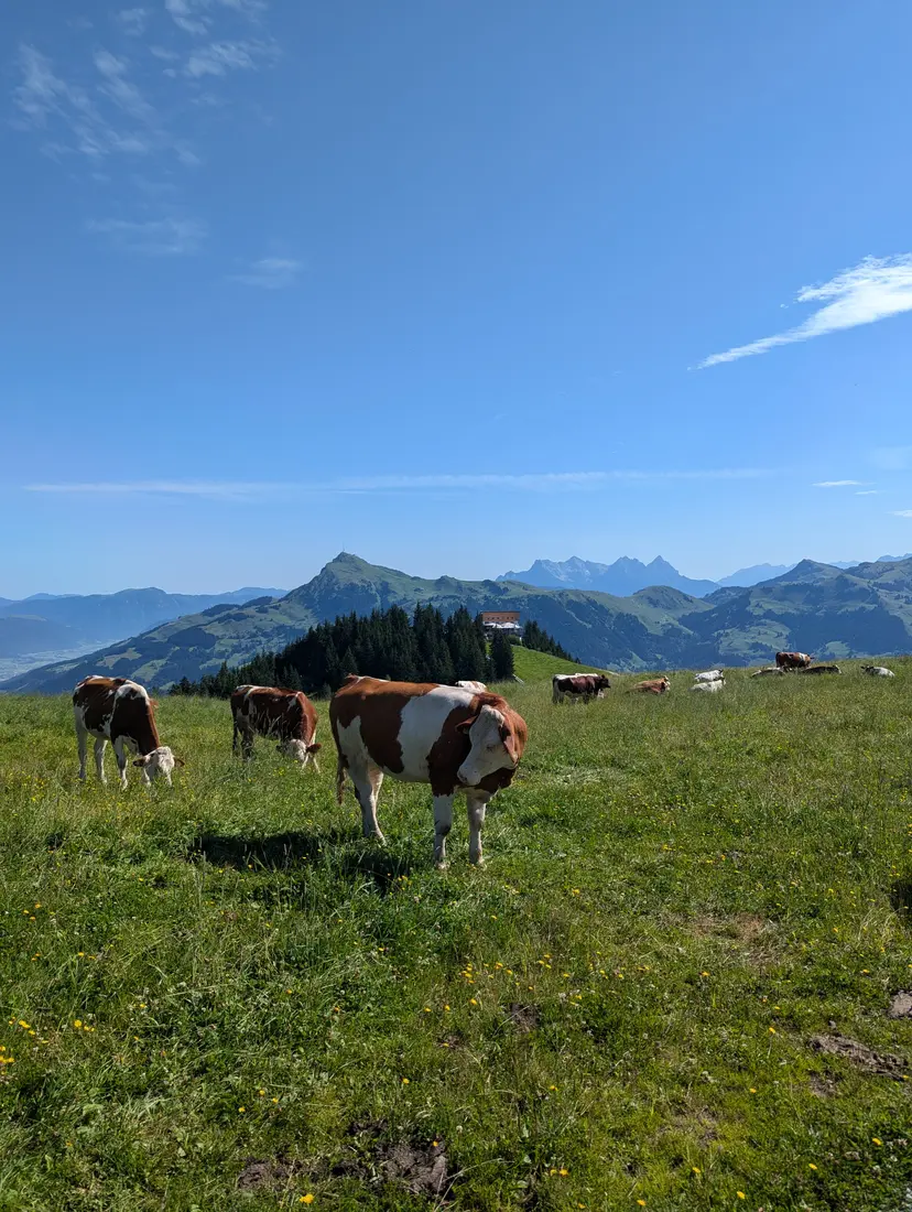 Streif Playground 4