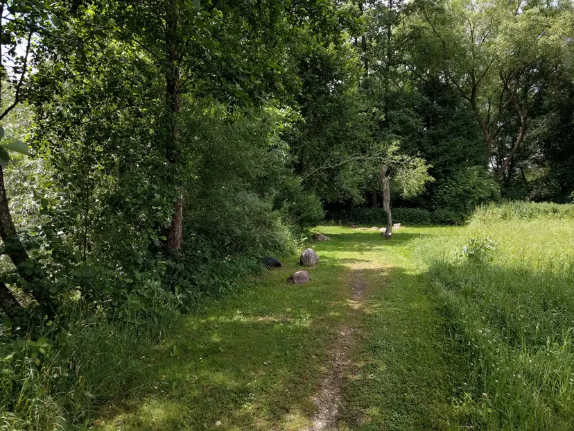Natur-Erlebnis-Gelände Auschlinge 3