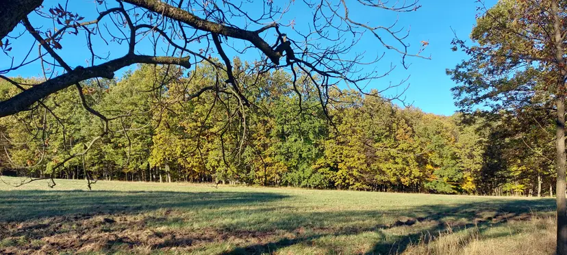 Waldspielplatz 4