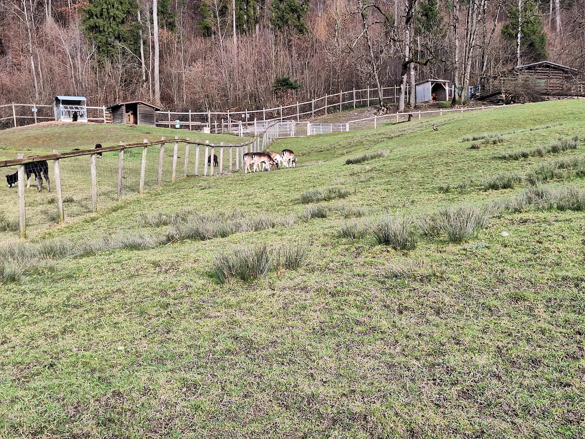 Spielplatz Klosterwies