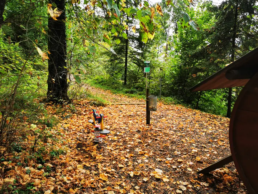 Waldspielplatz Stadt Kufstein 3