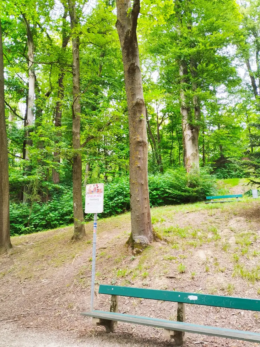 Kinderspielplatz - Am Rosenhang Freinberg 4