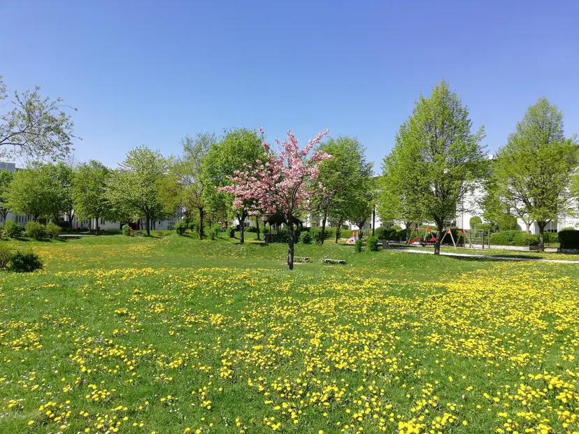 Spielplatz Wohnpark 3