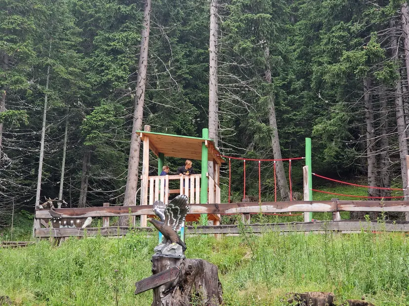 Seiledschungel, Wildes Lachtal Erlebnis Wanderwege, 12 6