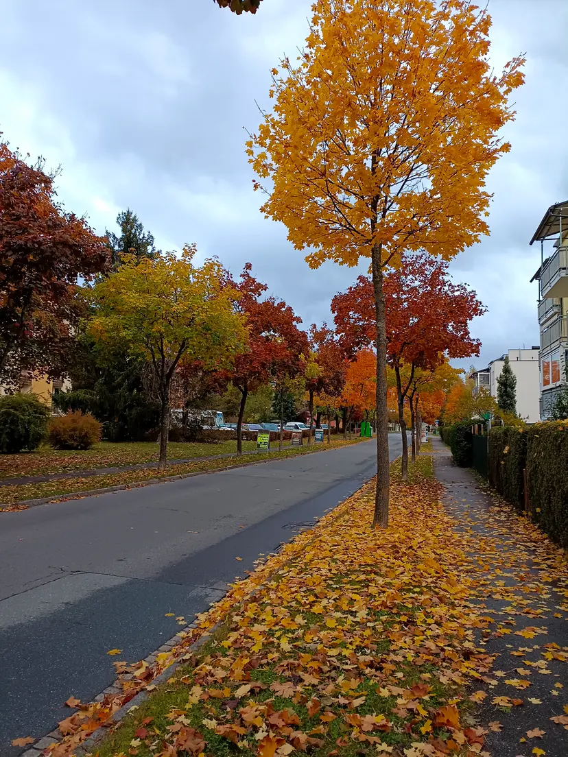 Kinderspielplatz Völkendorf 4