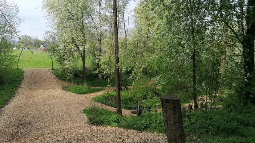 Motorikpark Lungitz 6