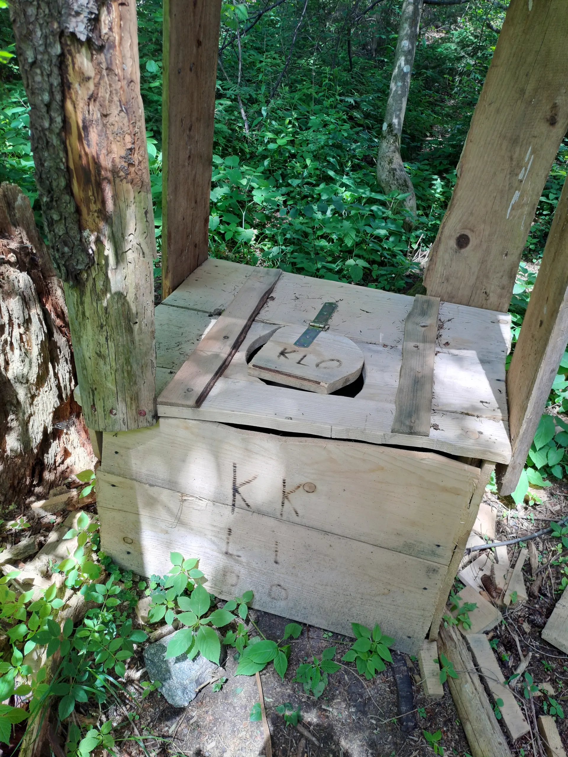 Wald-Spielplatz