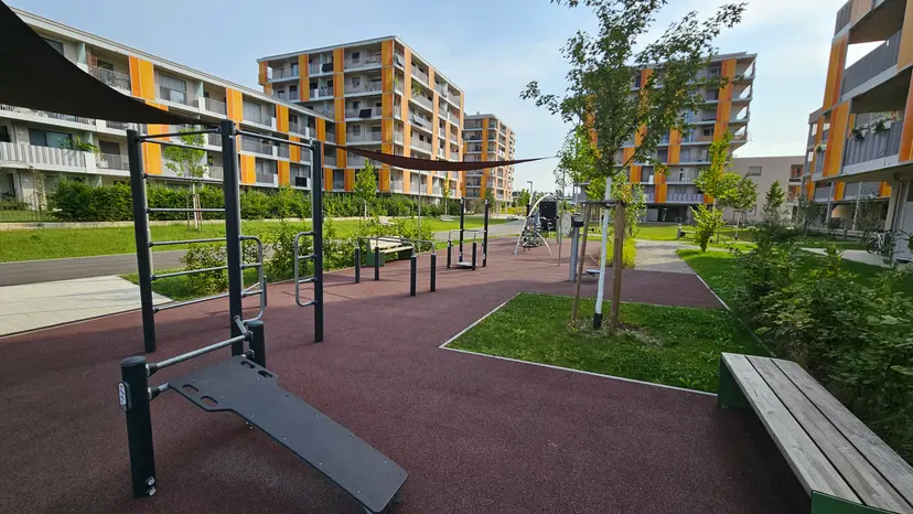 Calisthenik park 3