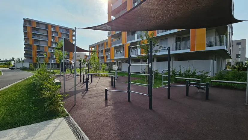 Calisthenik park 6