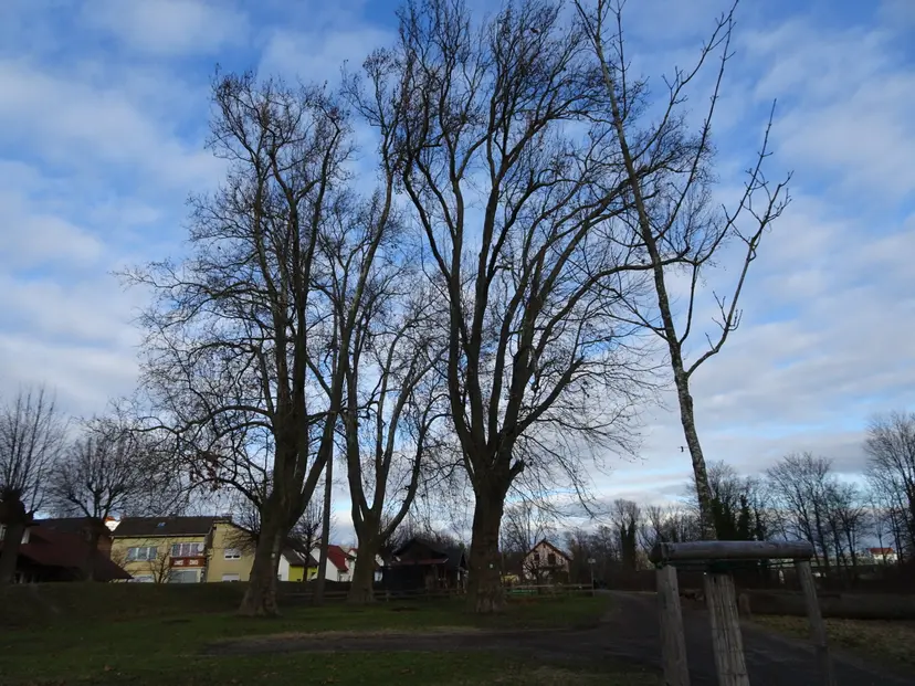 Öffentlicher Spielplatz 6