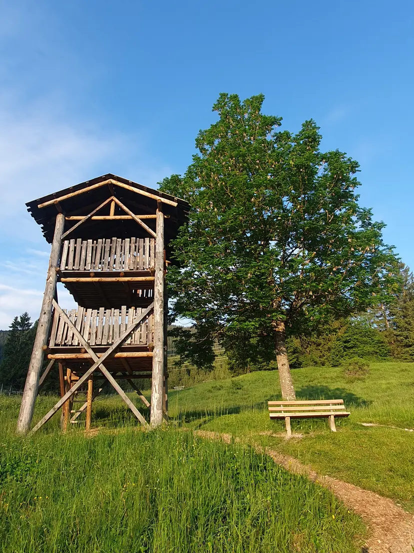 Moosle Spielplatz und Aussichtsturm 3