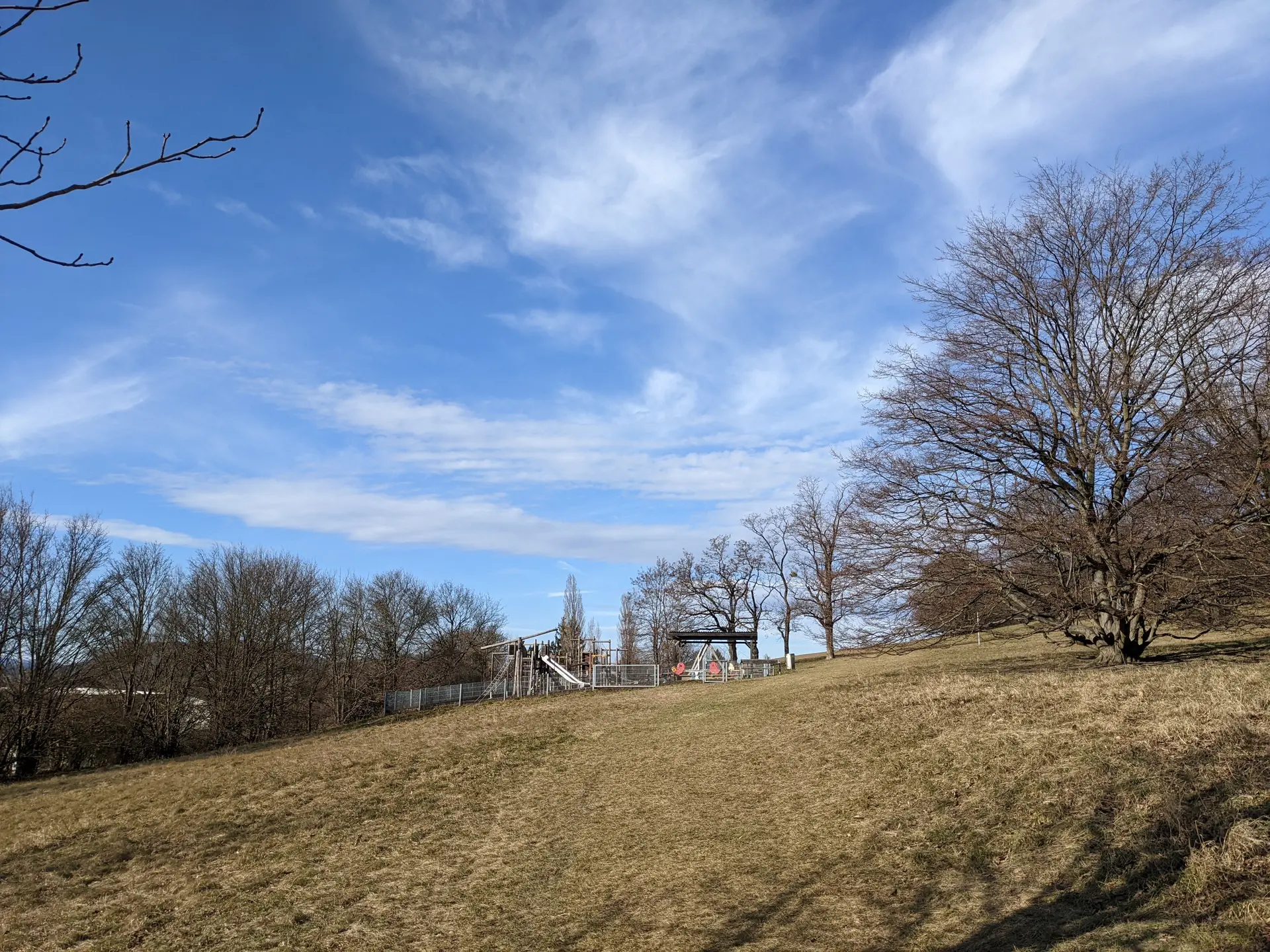Spielplatz Lagerwiese (Wolfersberg)