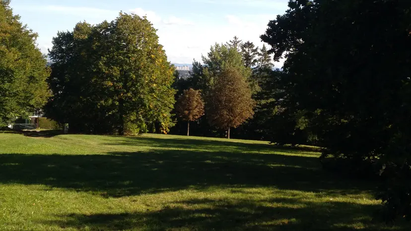 Spielplatz Lagerwiese (Wolfersberg) 4
