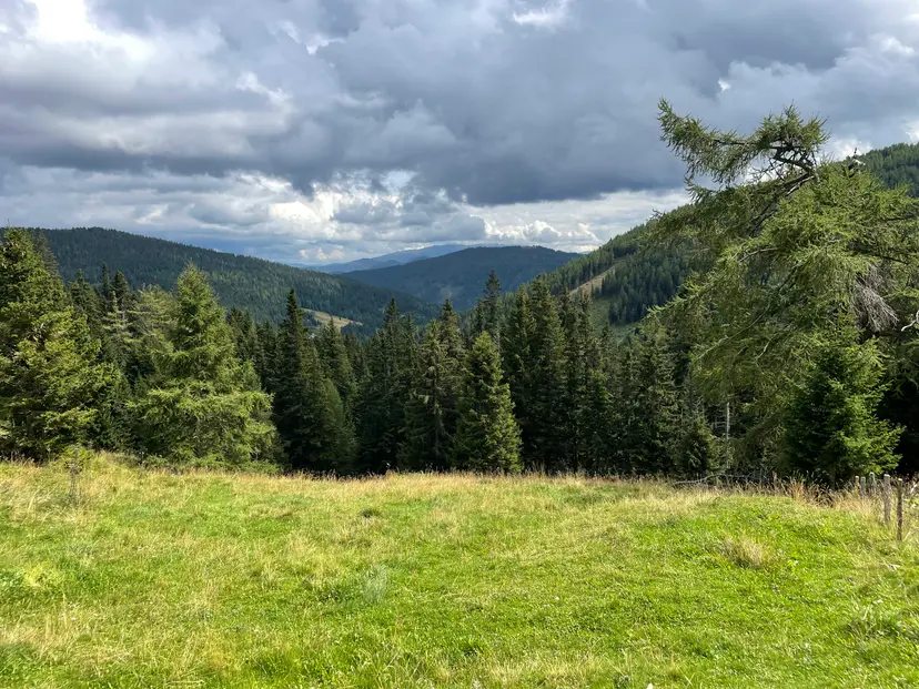 Wildes Lachtal 3