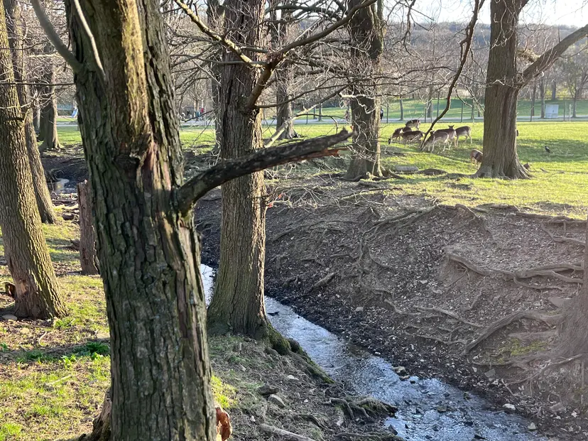 Wald-Kinderspielplatz 3