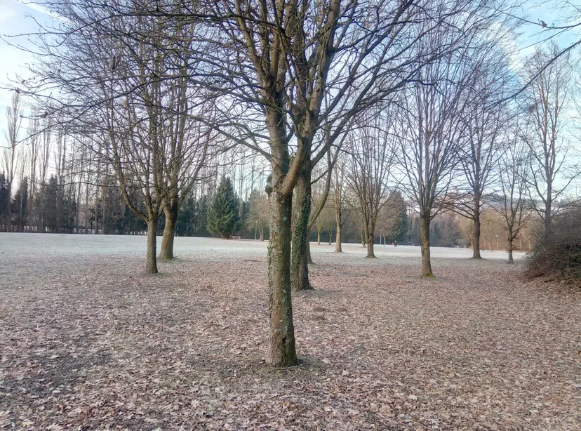 Spielplatz 2