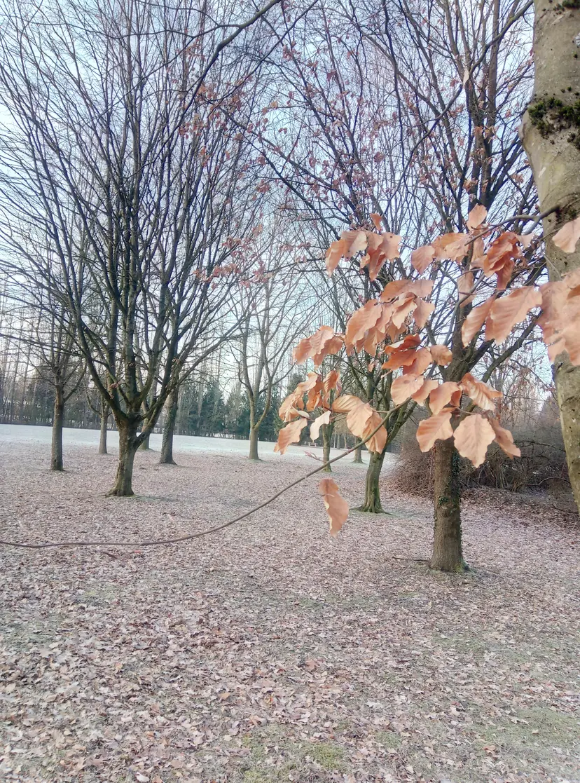 Spielplatz 4
