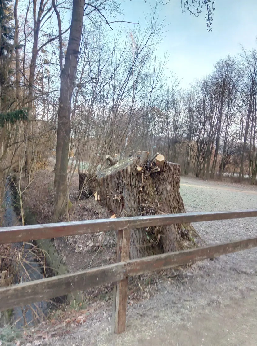 Spielplatz 5