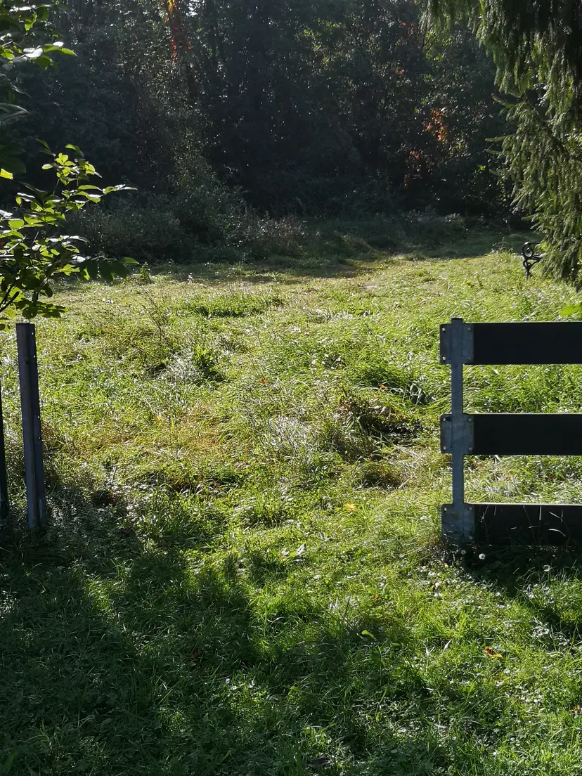 Öffentlicher Spielplatz 5