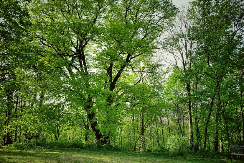 Western-Spielplatz 5