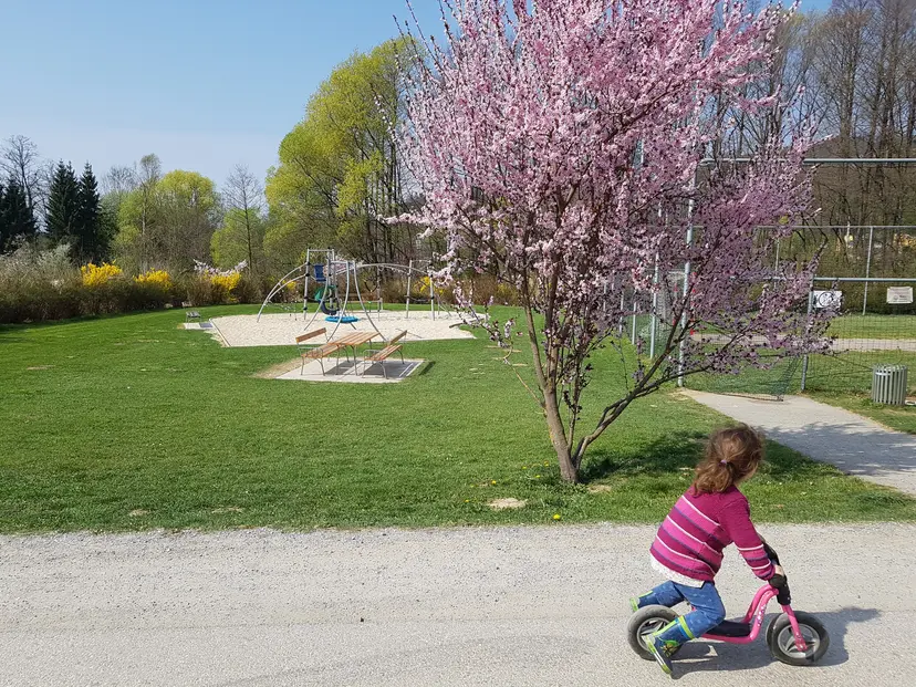 Spielplatz Tannhof 6