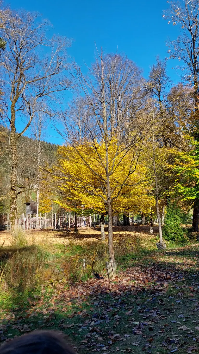 Spielplatz 3