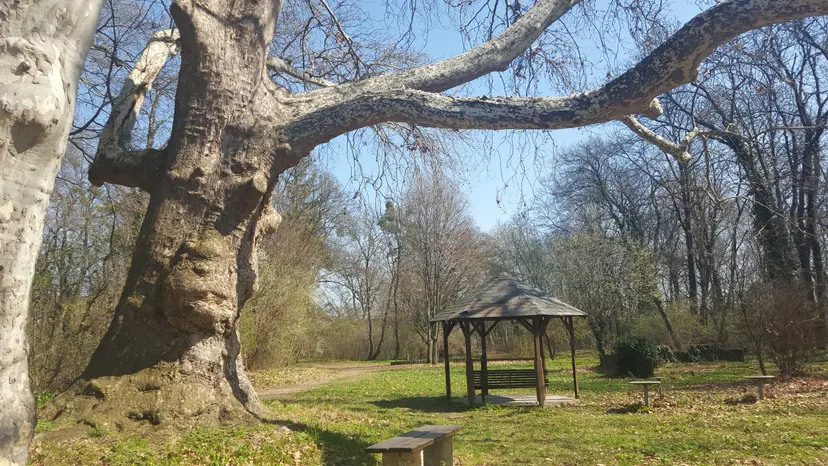 Spielplatz in der Au 3